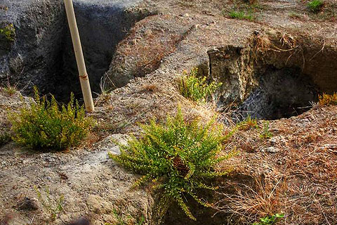 Almunecar Monuments - noy-bridge