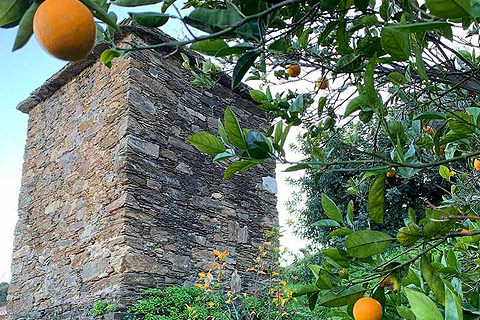 Almunecar Monuments - torre-monje