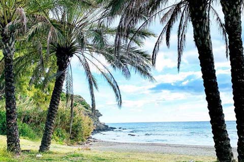 Almuñécar Beaches - Calabajio