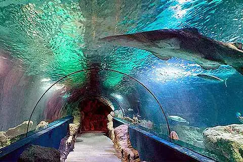 Costa Tropical - Ver y Hacer - Museos