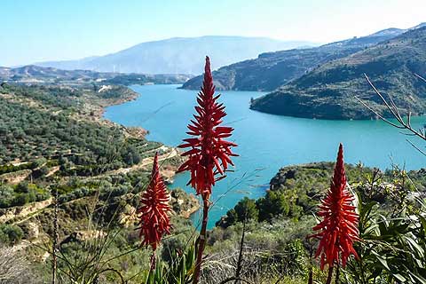 Costa Tropical Excursion ➜ Lecrin Valley