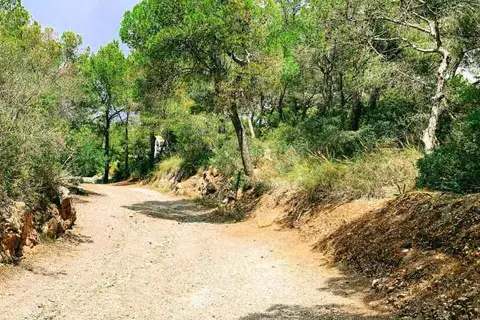 Punta de la Mona - Zona verde