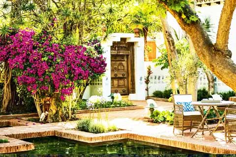 Costa Tropical - See & Do - TOP 20 Day Trips From Malaga!