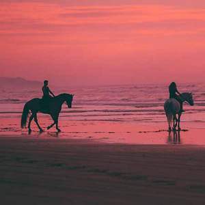 Horseback Riding in Almunecar