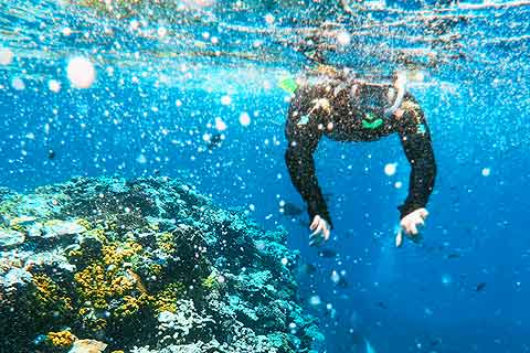 Things to Do in Almuñécar --> Scuba Diving