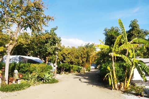 Costa Tropial Granada Campgrounds - Nerja - Camping Cortijo San Miguel