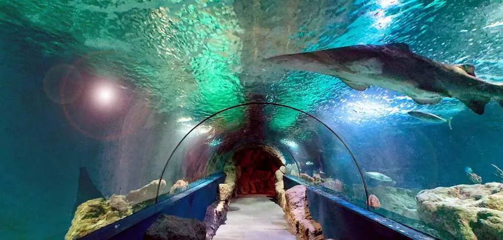 Almunecar Museums - Aquarium