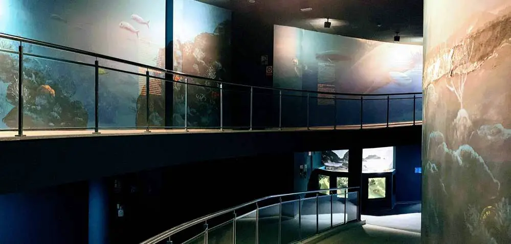 Almunecar Museums - Aquarium