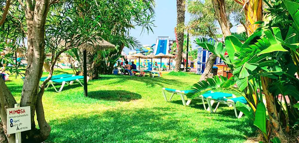 Área de la sala de Aqua Tropic