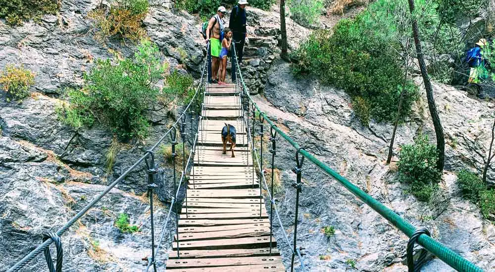 Junta de los Rios - Dog Crossing the Swinging Bridges