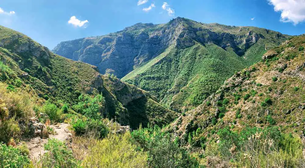 Junta de los Rios - Trail at the Top