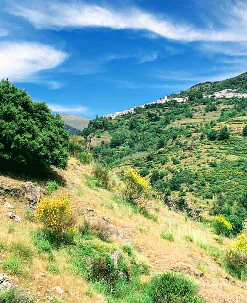 Camino de la Atalaya - Garganta del Poqueira - Vistas de Bubión