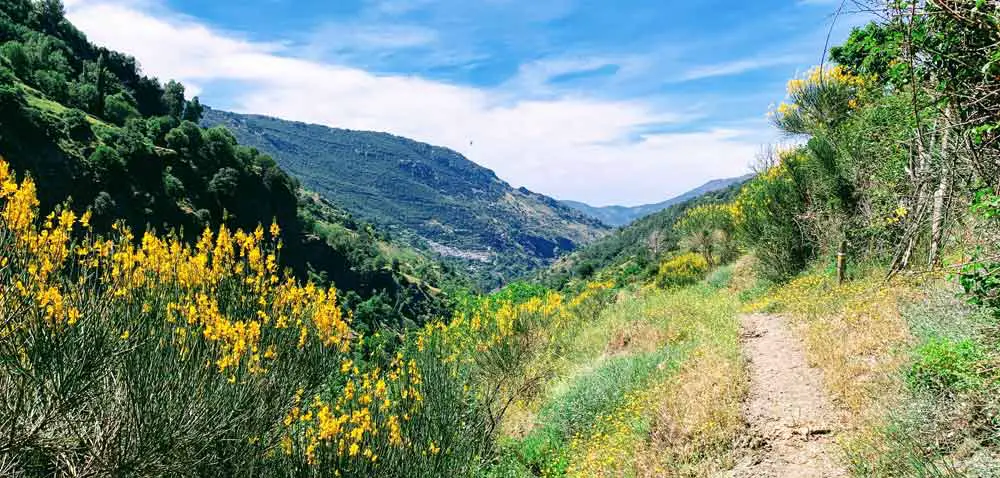 Camino de la Atalaya - Garganta del Poqueira