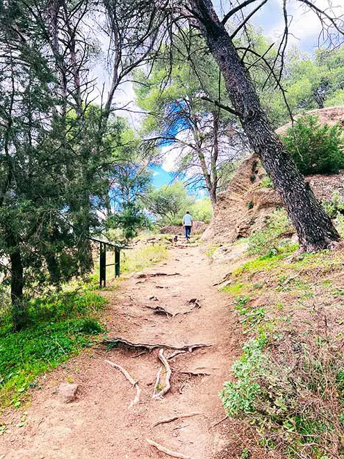 Bobastro Ruins - Path