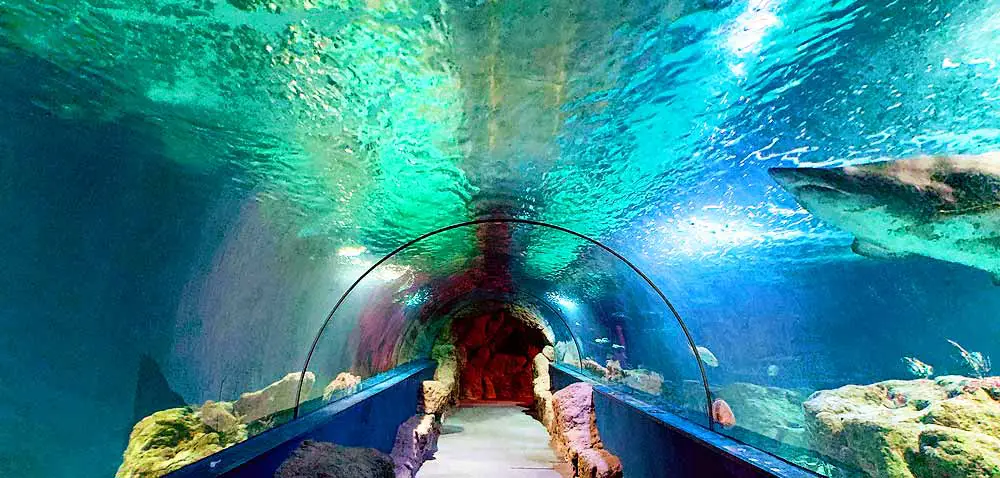 Things to do with Kids in the Costa Tropical - Almuñécar Aquarium
