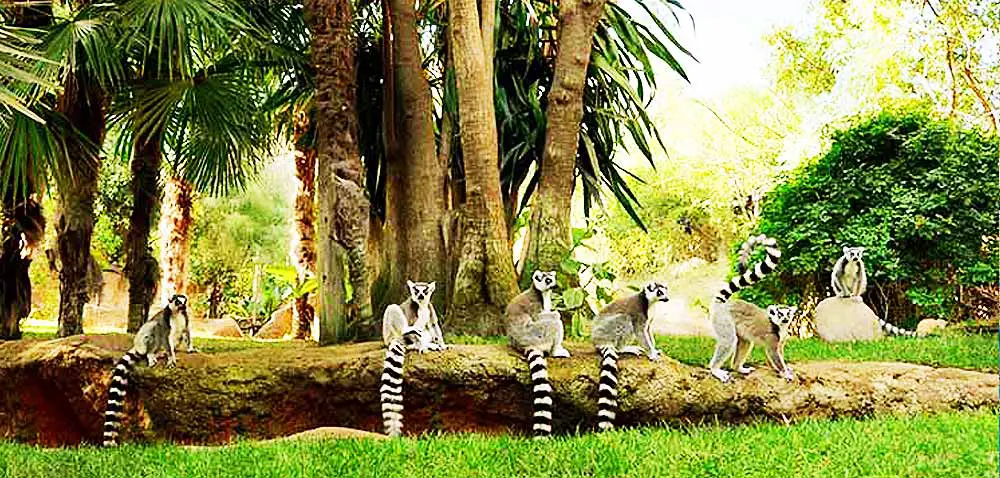 Things to do with Kids in the Costa Tropical - Majuelo Gardens