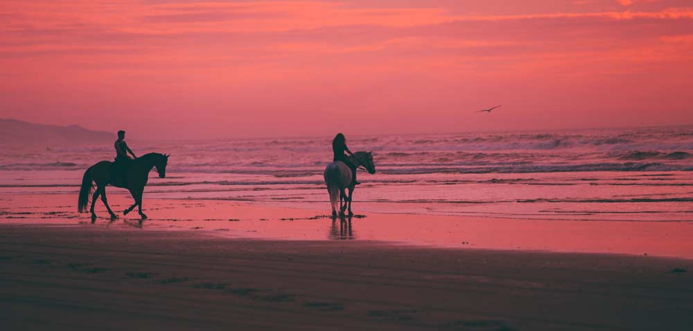 Paseos a Caballo - Almuñécar