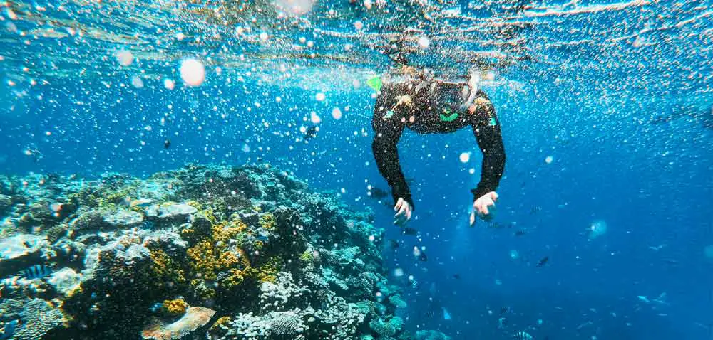 Learn to Scuba in the Costa Tropical