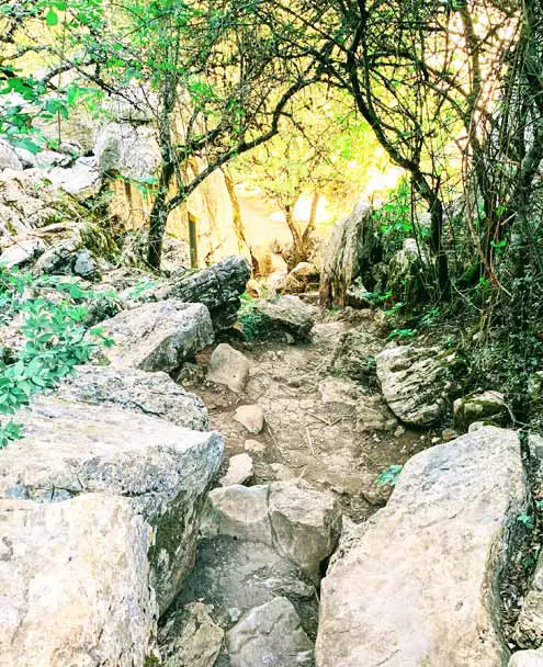 el Torcal de Antequera, España - Senderos por el bosque