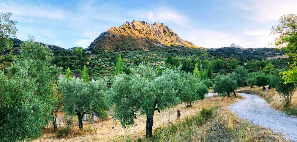Grazalema - Spain - Cádiz