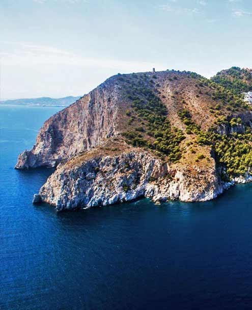 Buceo La Herradura - Dive Sites - Cerro Gordo