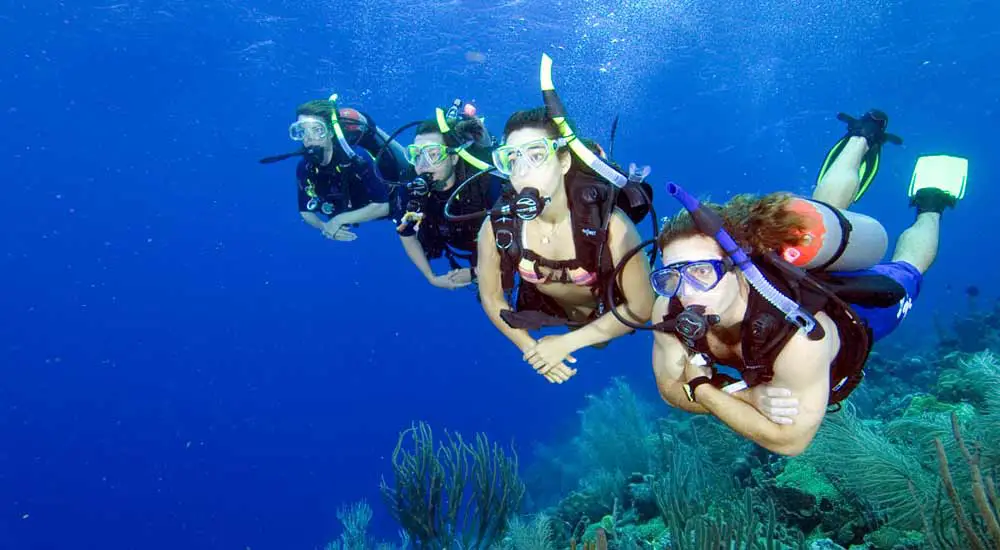 Scuba Diving La Herradura - Divers