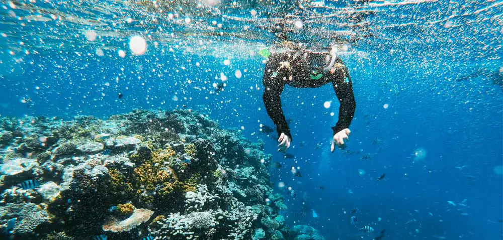 Buceo en La Herradura