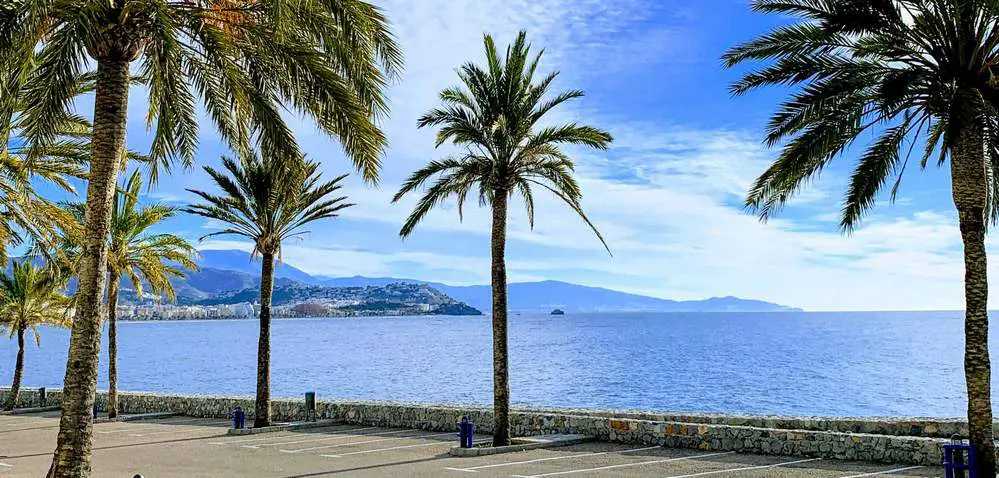 Marina del Este - La Herradura