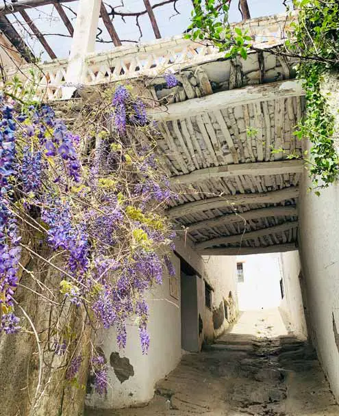 La Taha Spain