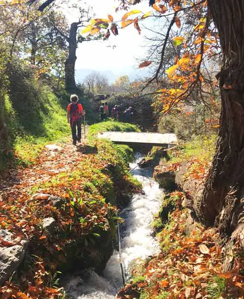 Lanjarón - Acequia Aceituno - Cecarta Trail