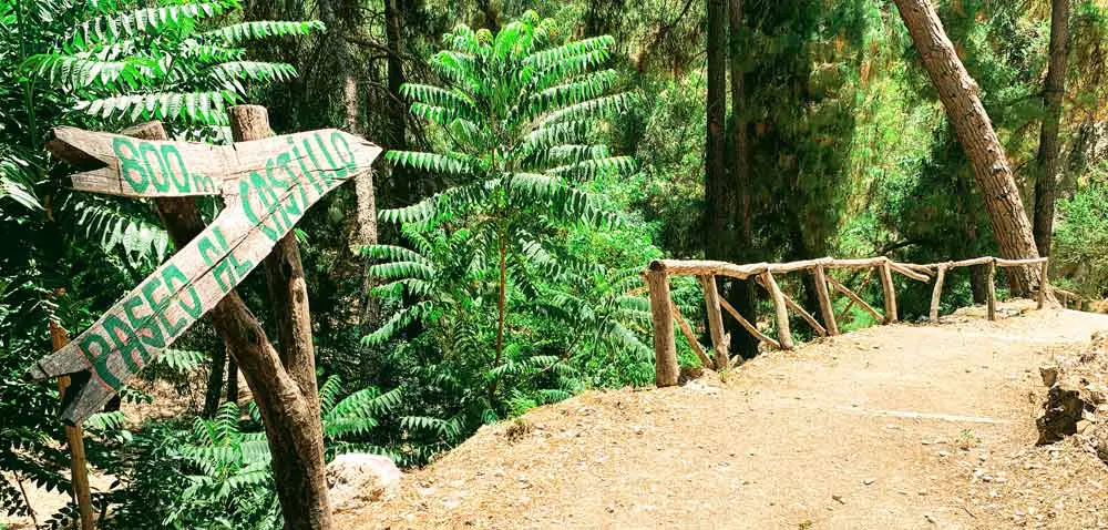 Trail to the castle of Lanjarón in Salado Park