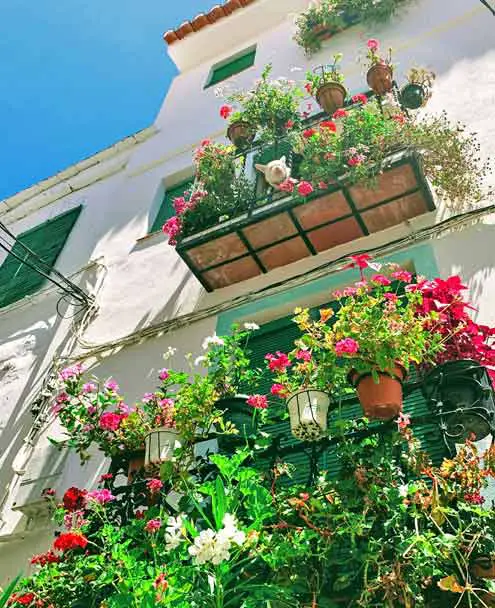 Lanjarón Spain - Flowered Balcony