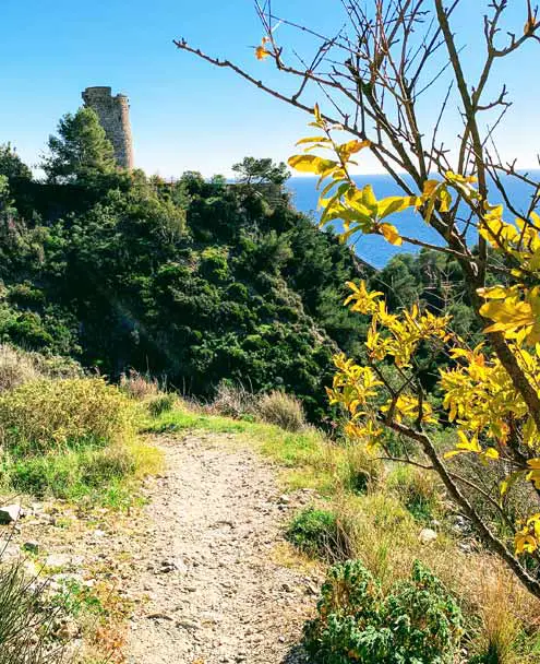 Calas del Pino Tower, Trail