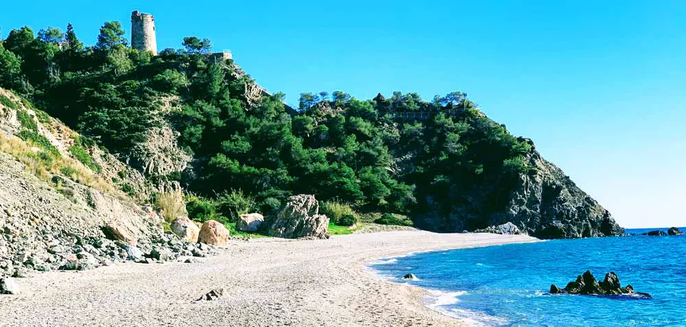 Calas del Pino - Pine Cove