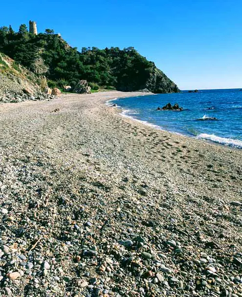 Calas del Pino - Pebble Beach