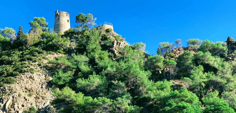 Calas del Pino - Views