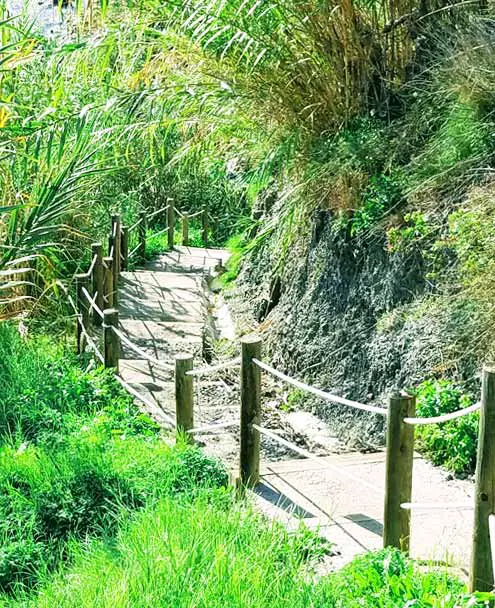 Playa la Caleta de Maro Access through Wooden Staircase