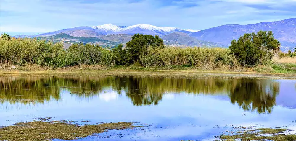 Motril Charca Suarez - Andalucía - España