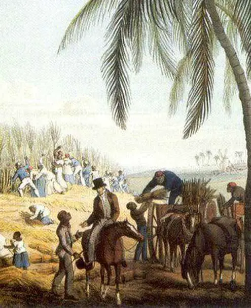 Ron Montero Rum Bodega - History