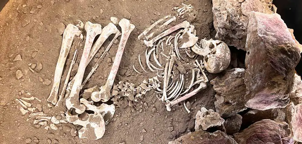 Nerja Museum - Prehistoric Skeleton