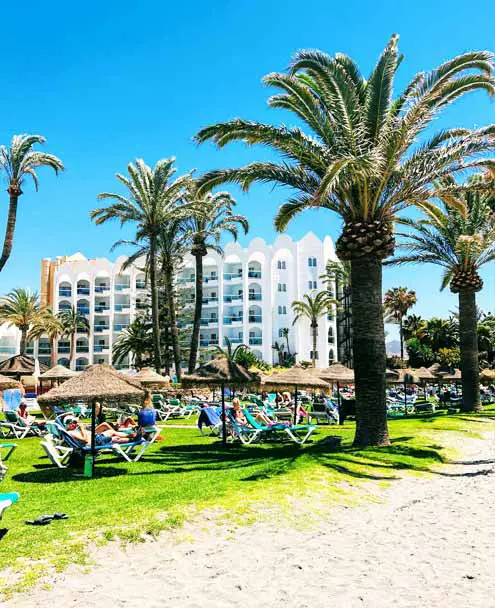 Playa el Playazo - White Sand and Palm Trees