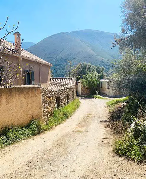 Órgiva - Ruta de Los Olivos - Cortijo