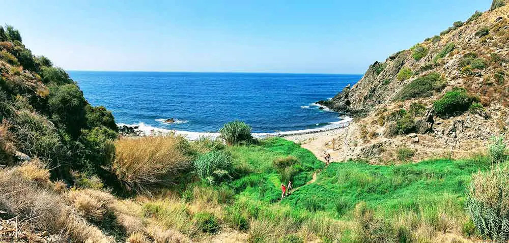 Calas de Cambrón & Pargo