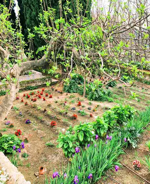 Nasrid Gardens in Vélez de Benaudalla