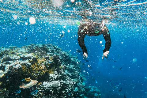 Buceo