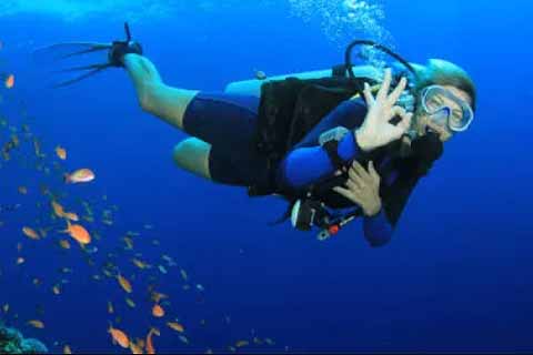 Playa de Maro - Scuba Diving
