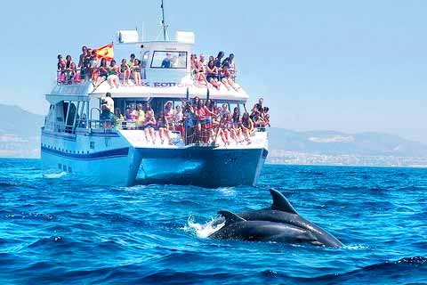 Costa Tropical - Things to do with Kids - Dolphin Trip
