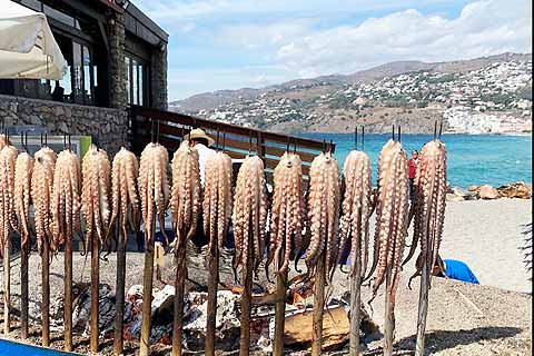 Salobreña Donde Comer