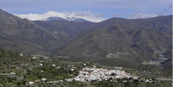 Gualchos